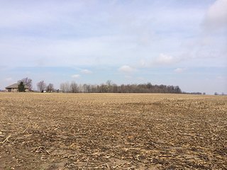 84+/- Acres Nearly level to gently rolling farmland.

Seller requires a 3 - 5 year leaseback, call for details. - 33+/- Acres in Henry County, IN & 51+/- Acres in Madison County, IN